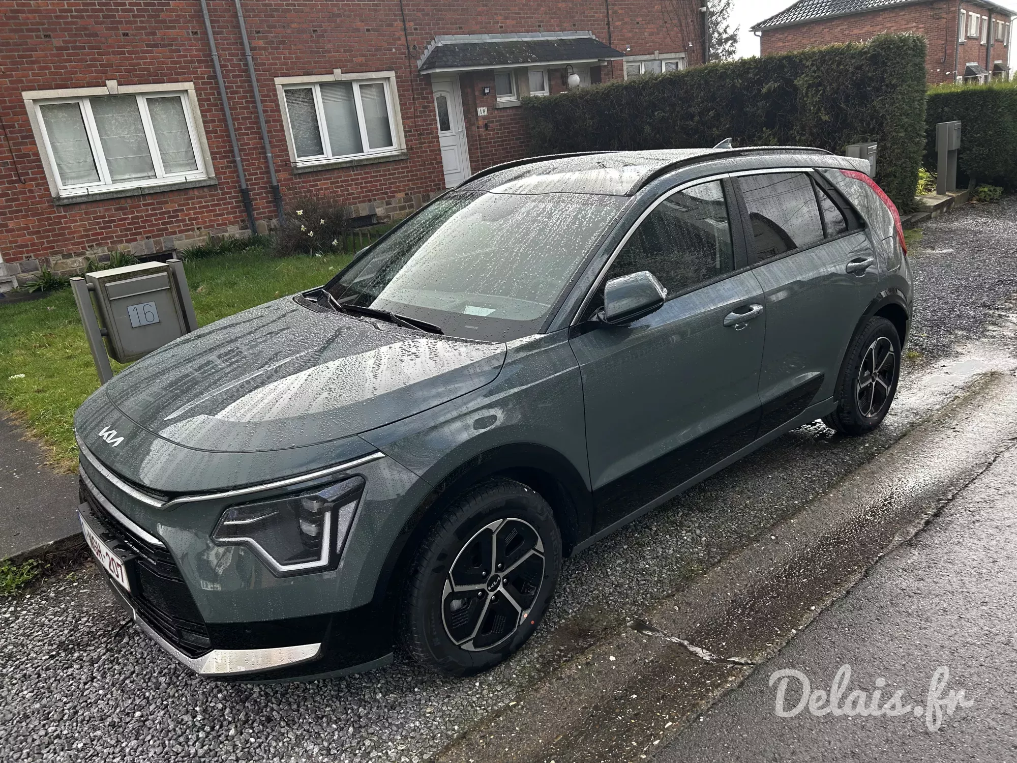 Kia Niro Vert Aventurine Motion