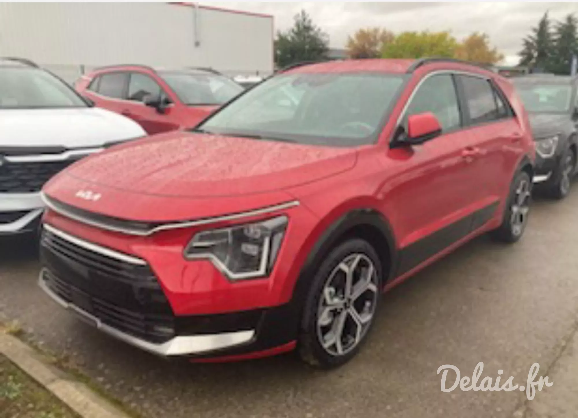 Kia Niro Rouge Magma Premium