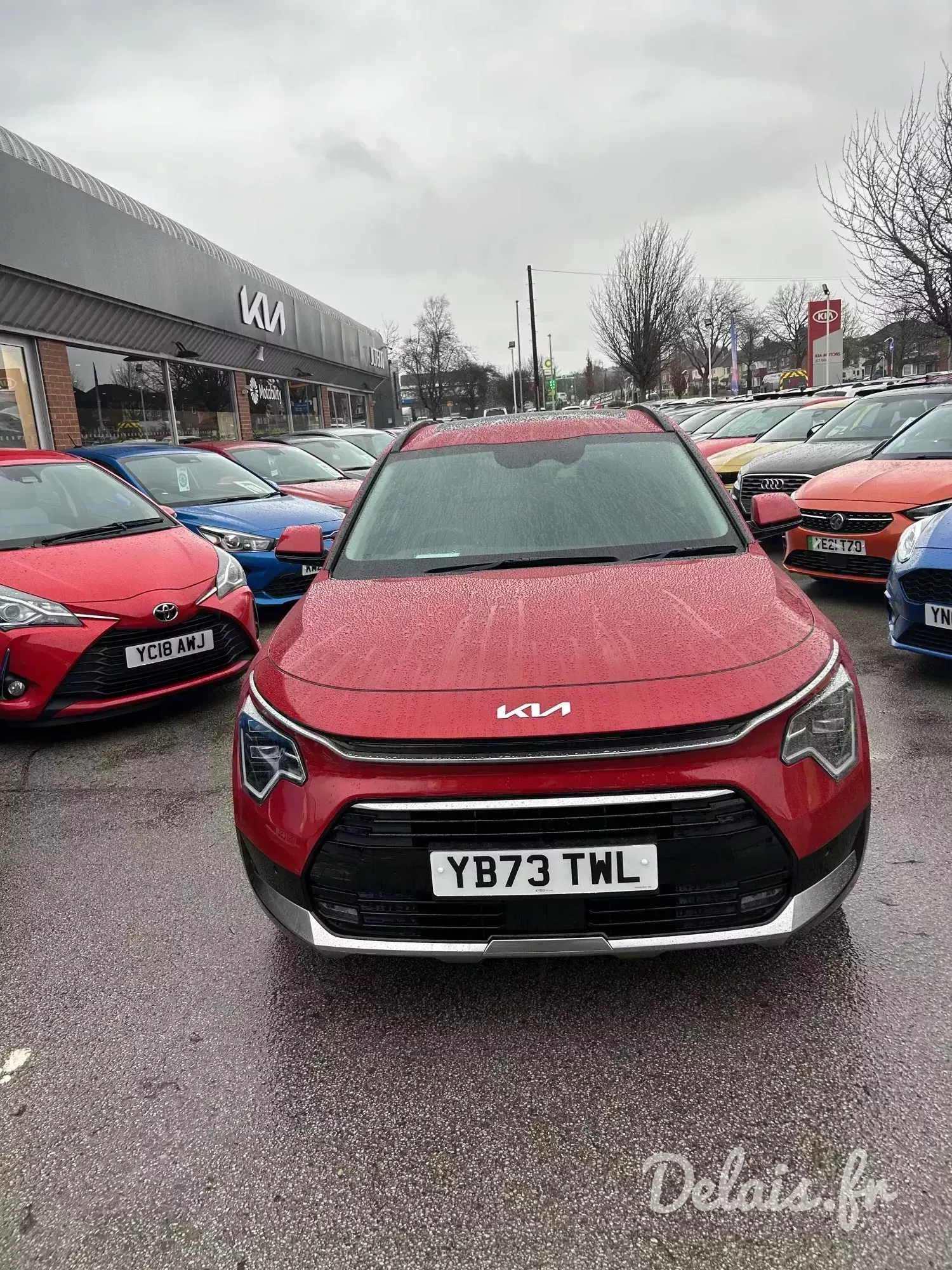 Kia Niro Rouge Magma Premium