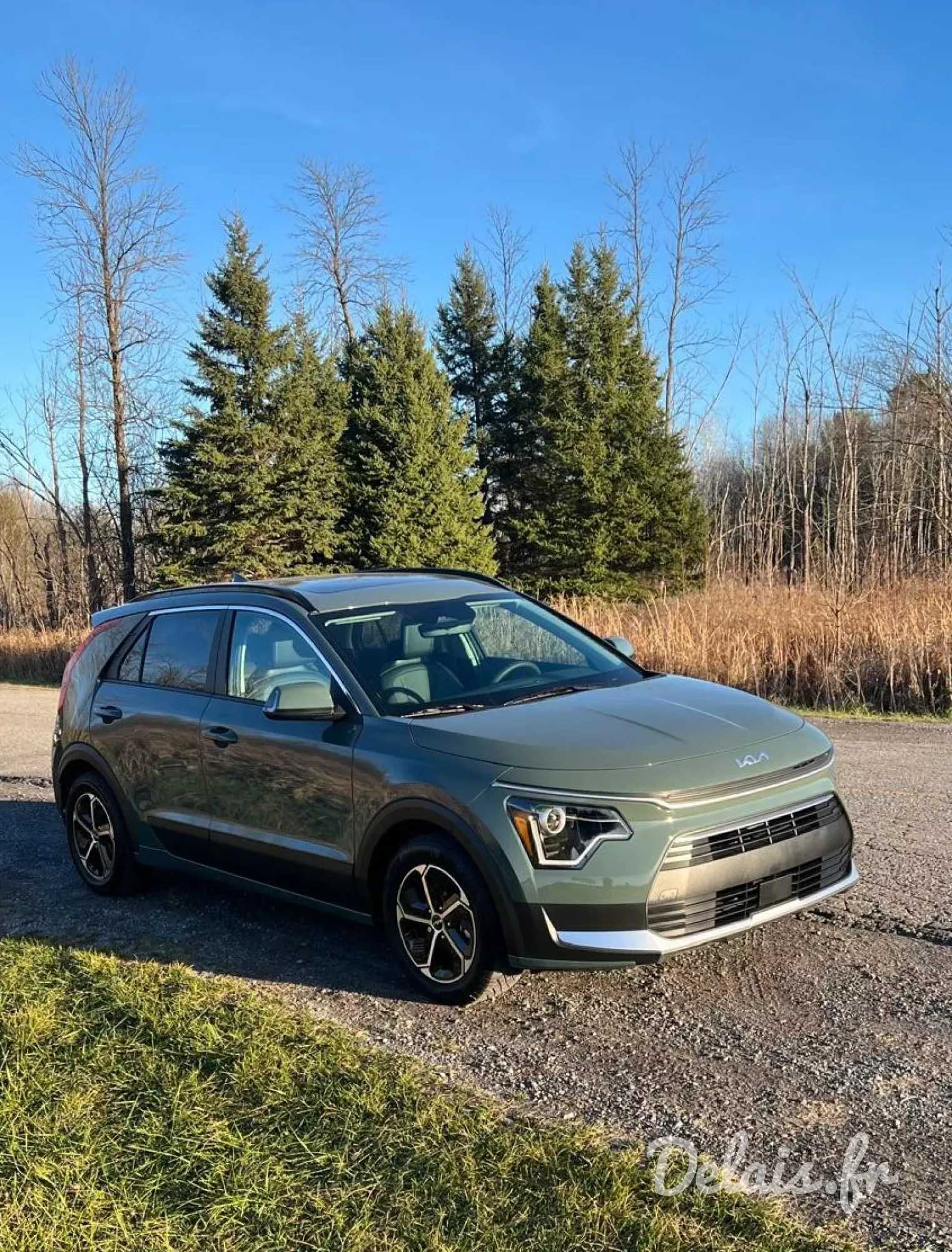 Kia Niro Vert Aventurine Motion