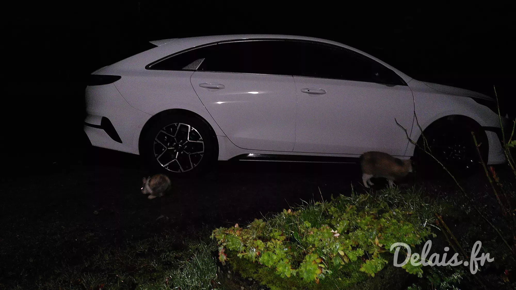 Kia Proceed Blanc GT-line Premium