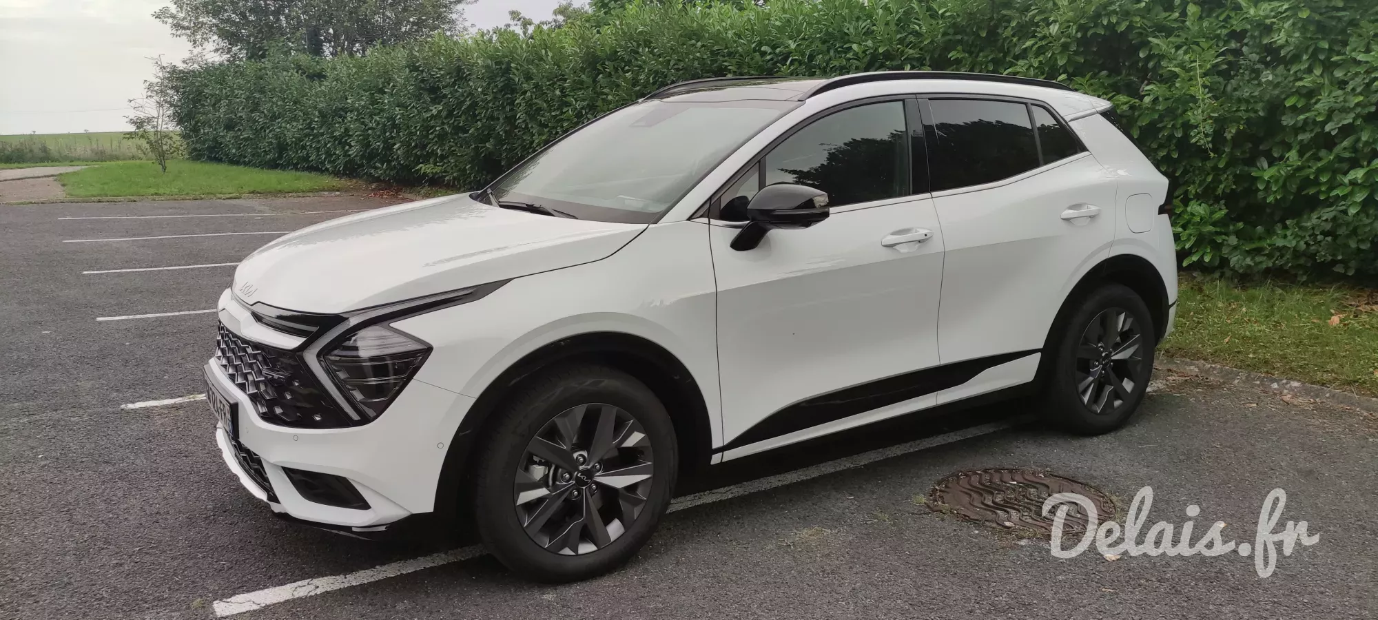 Kia Sportage Blanc GT Line Premium