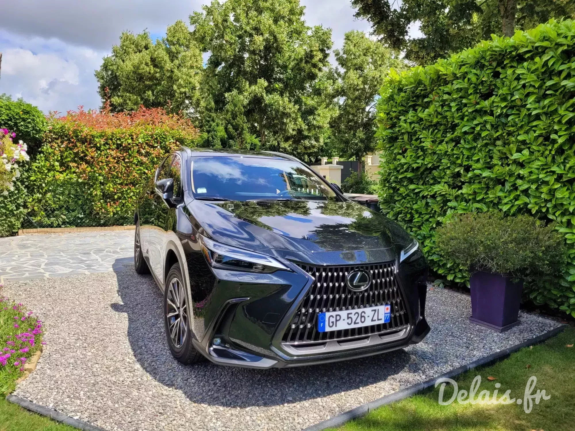 Lexus NX Noir Graphite Luxe