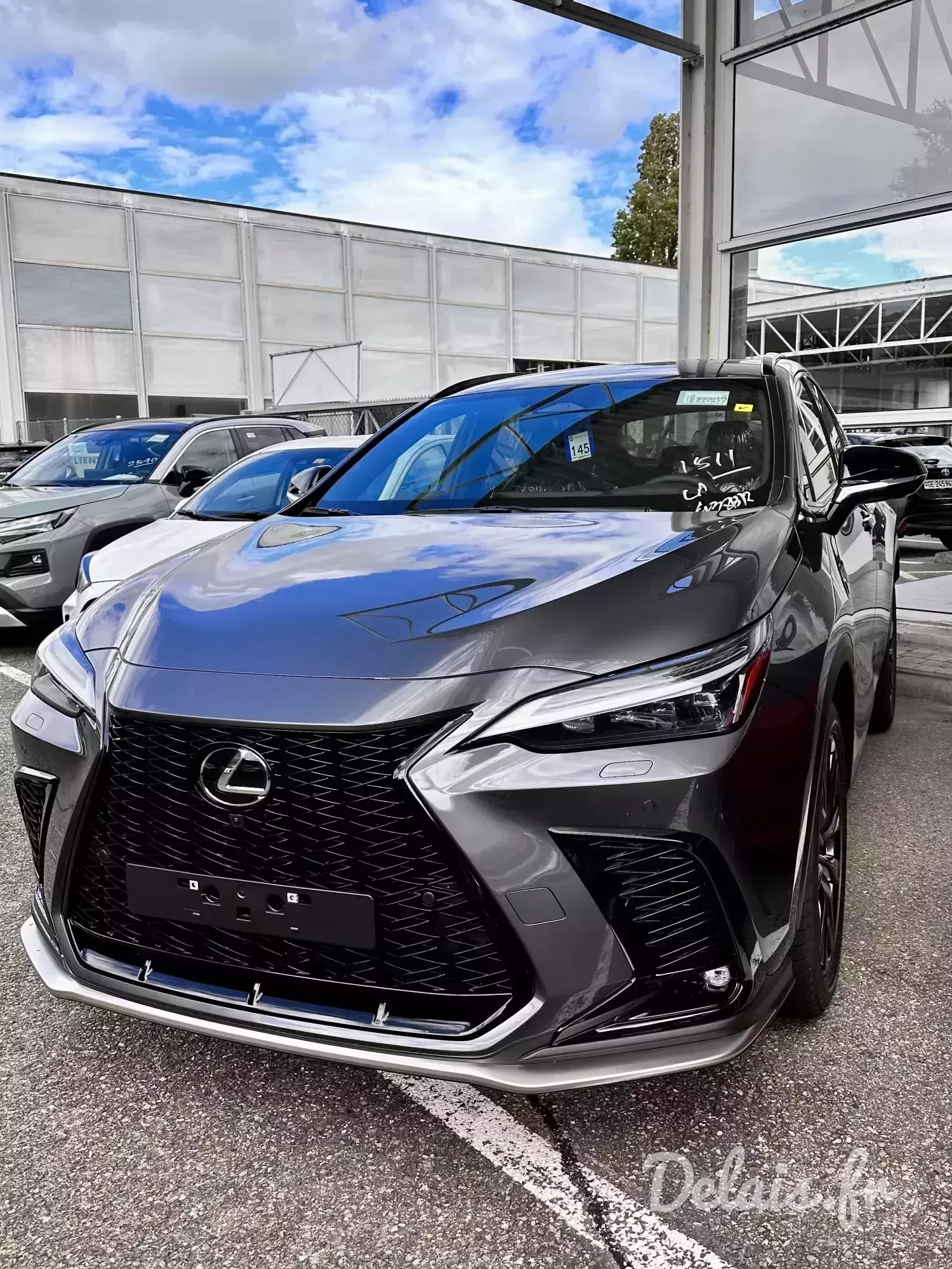 Lexus NX Gris Titane F Sport Executive