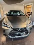 Lexus NX de jugnu