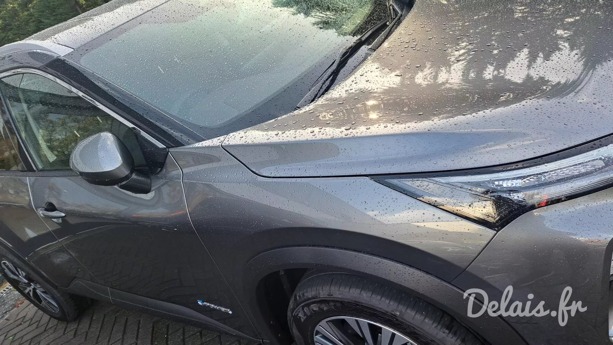 Nissan X-Trail Gris Argile N-Connecta