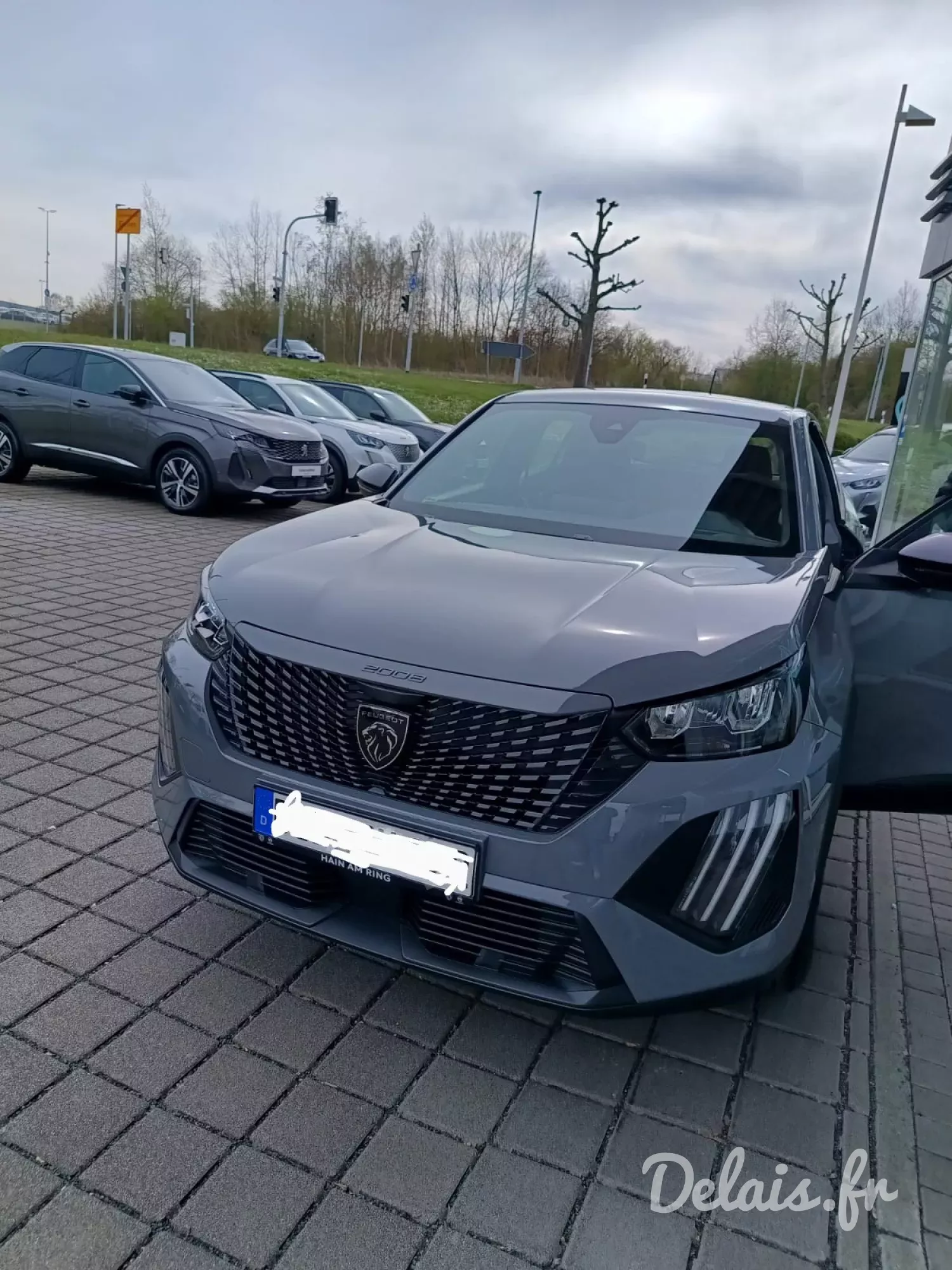 Peugeot 2008 Gris Selenium Active
