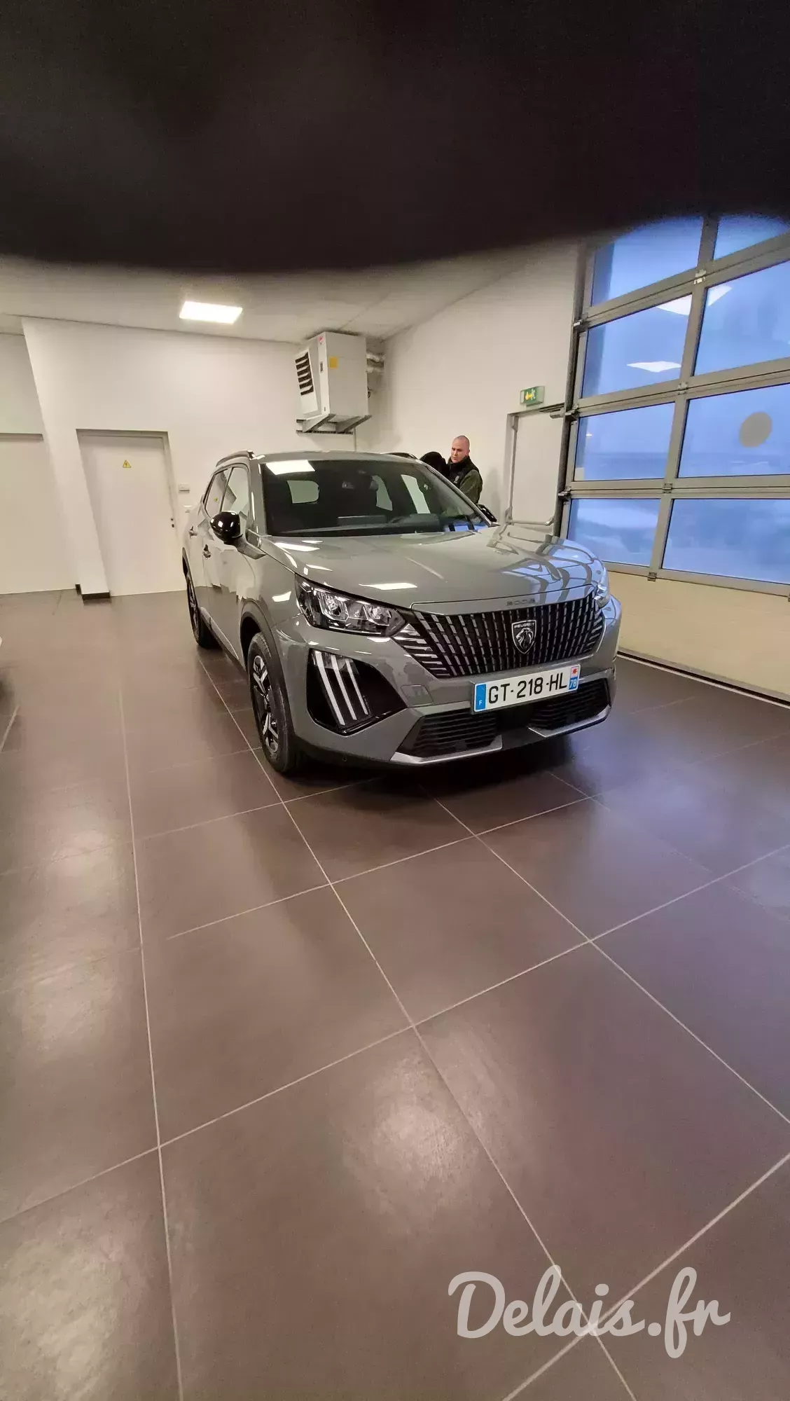 Peugeot 2008 Gris Selenium Allure Pack