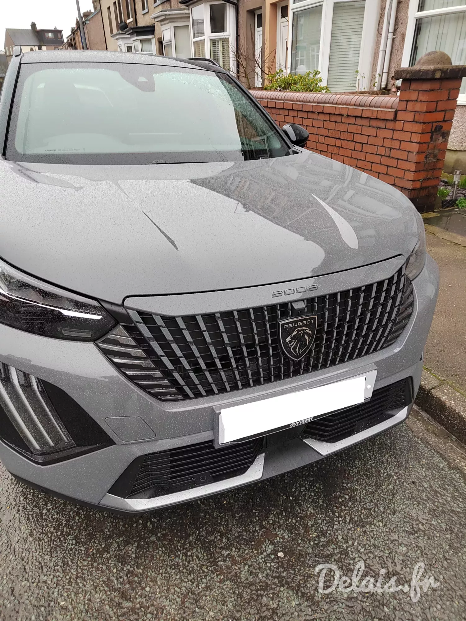 Peugeot 2008 Gris Selenium GT
