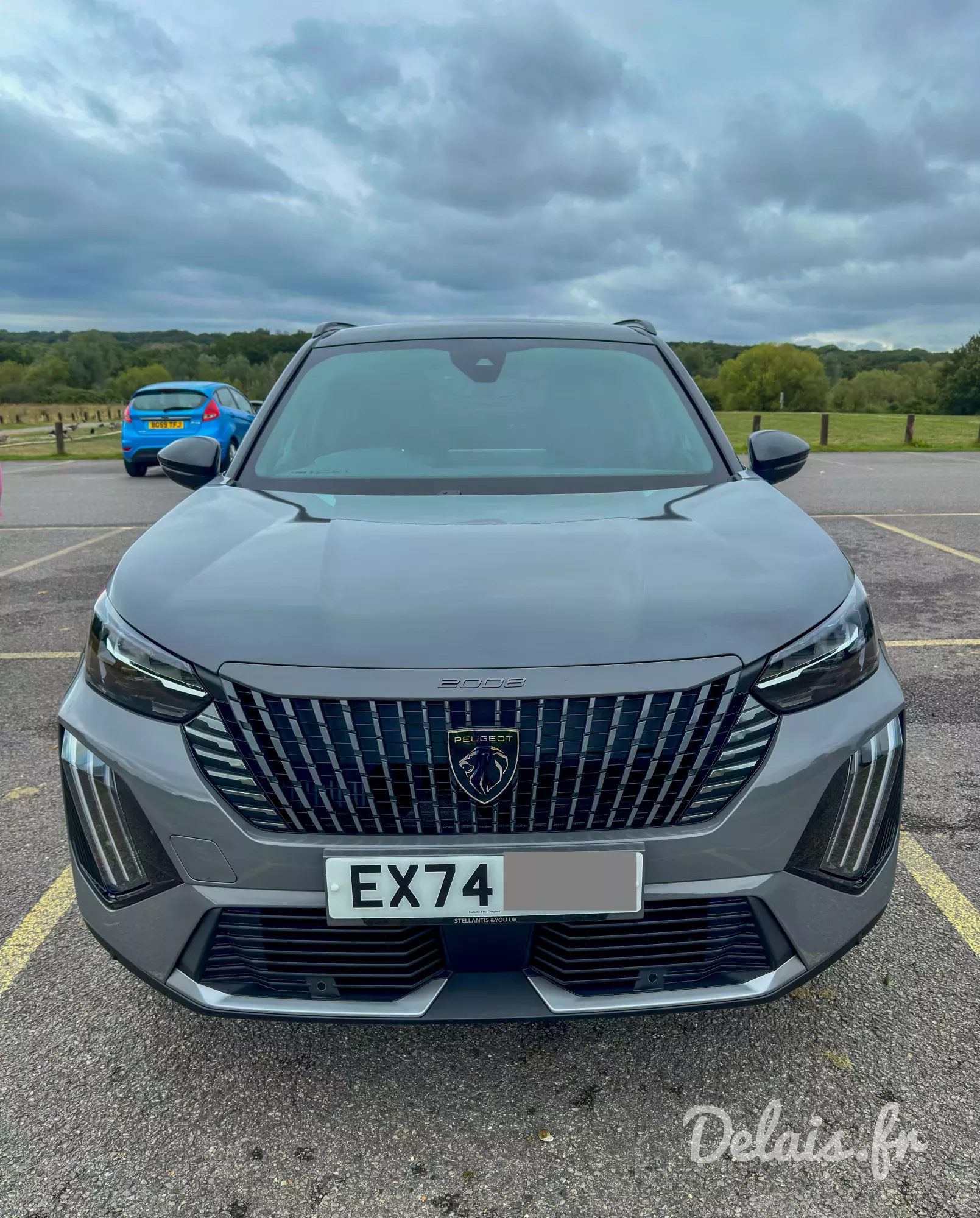 Peugeot 2008 Gris Selenium GT