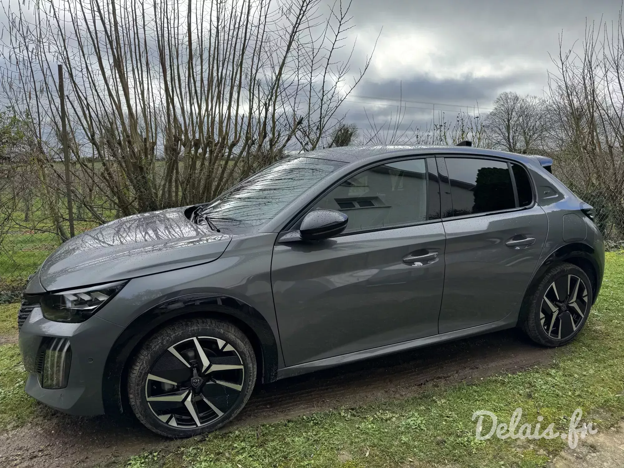 Peugeot 208 Gris Selenium GT