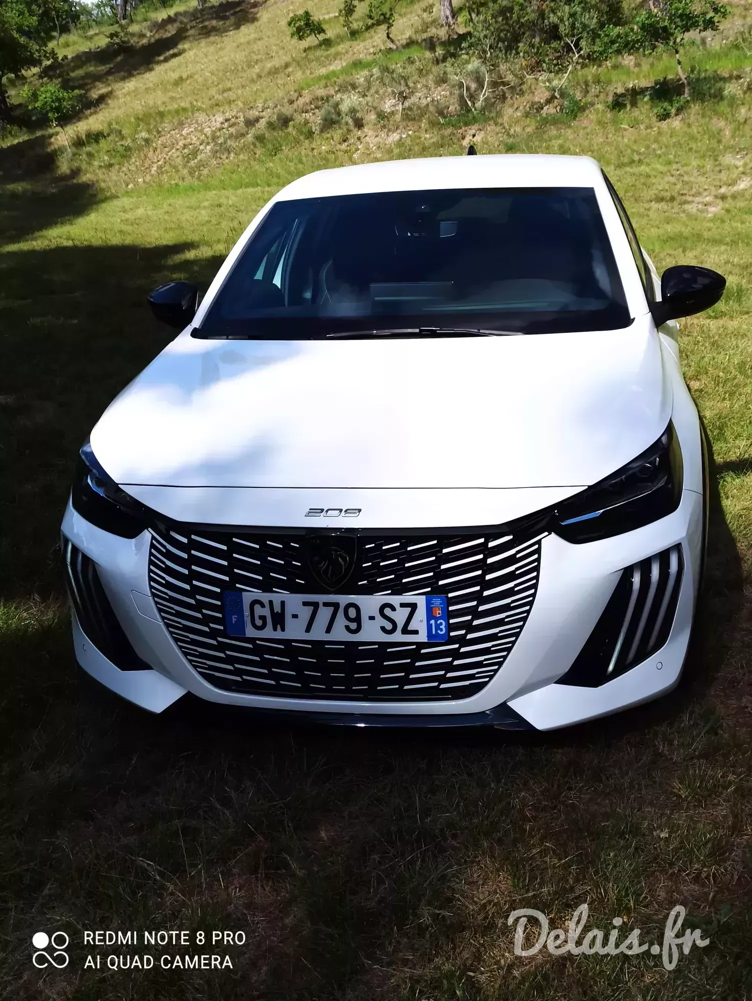 Peugeot 208 Blanc Banquise GT