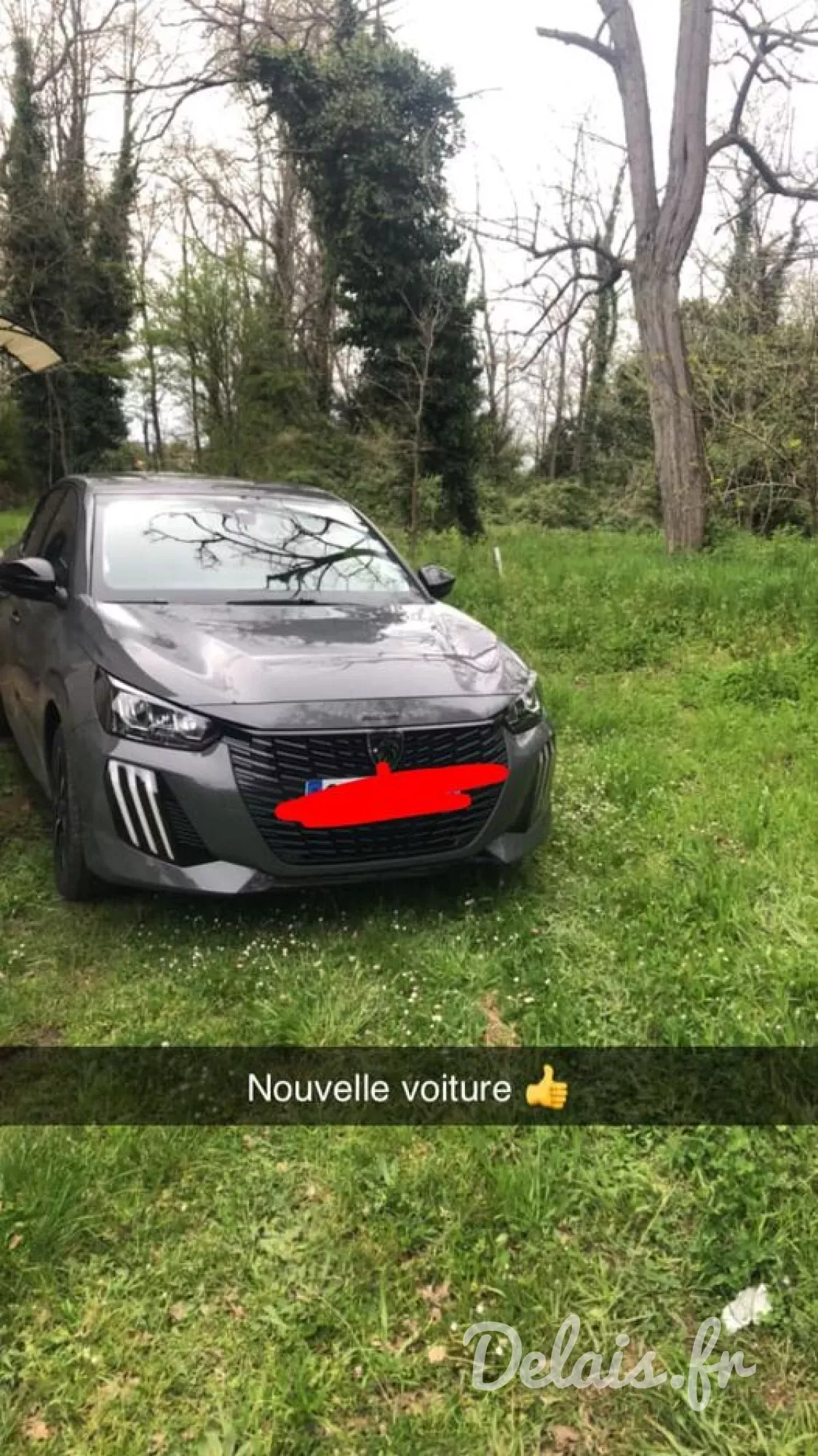 Peugeot 208 Gris Selenium Style