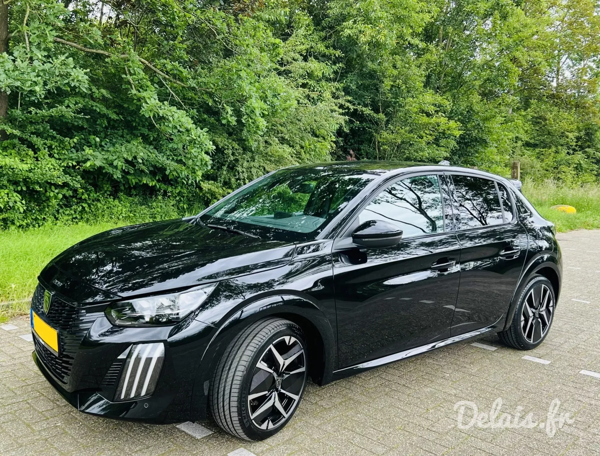 Peugeot 208 Noir Perla Nera GT