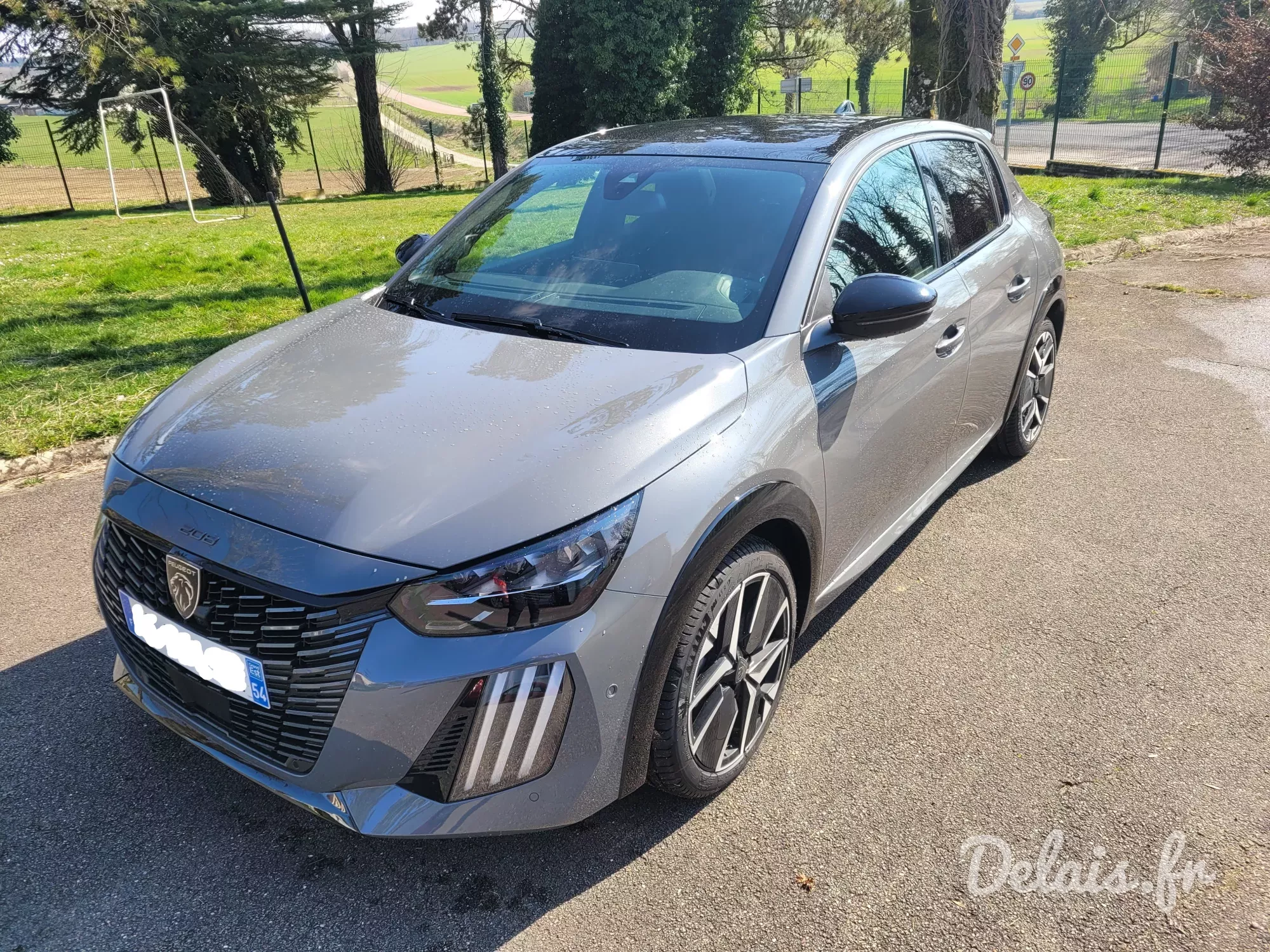 Peugeot 208 Gris Selenium GT