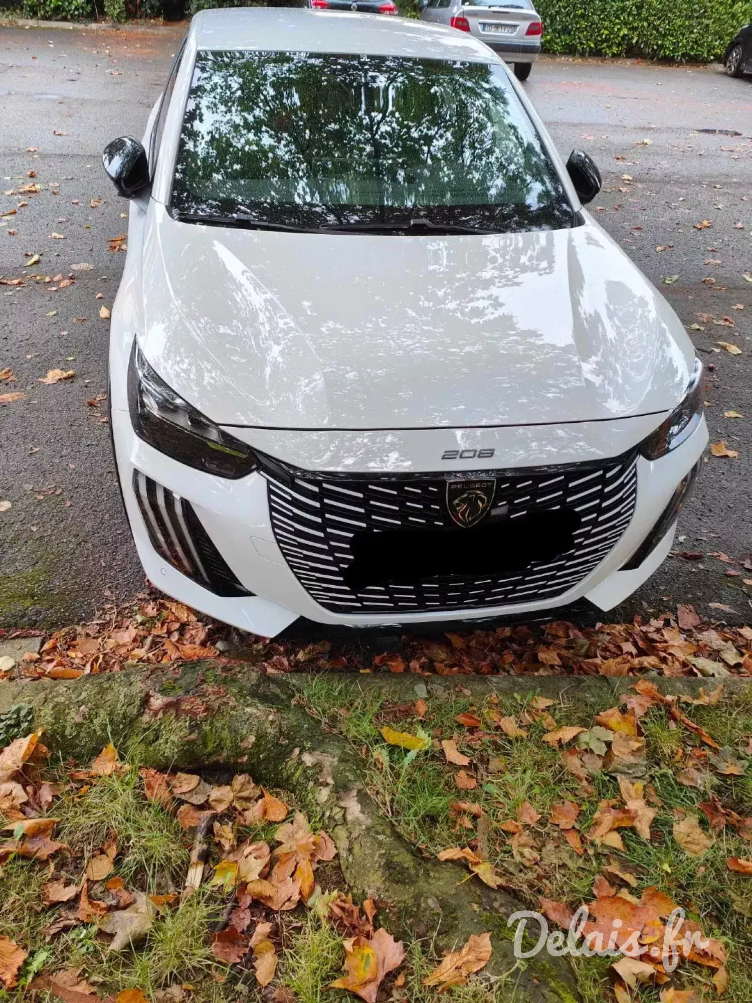 Peugeot 208 Blanc Banquise GT