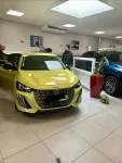 Peugeot 208 de Delphine