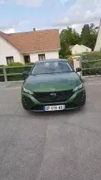 Peugeot 308 Vert Olivine Active Pack de Jojo