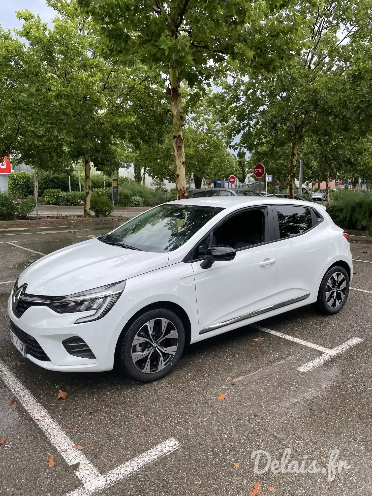 Renault Clio Blanc Glacier Evolution