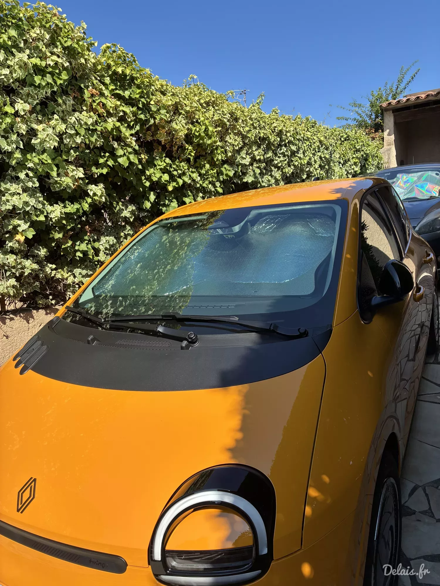Renault Twingo Jaune Mango Evolution