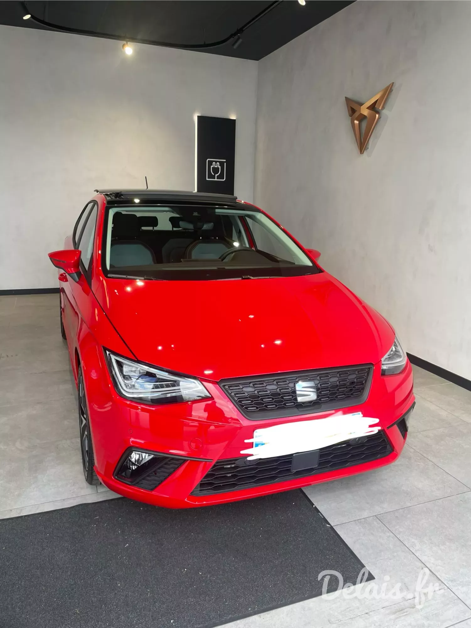 Seat Ibiza Rouge Passion Copa
