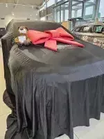 Škoda Karoq Gris Graphite SE L de Deafsi