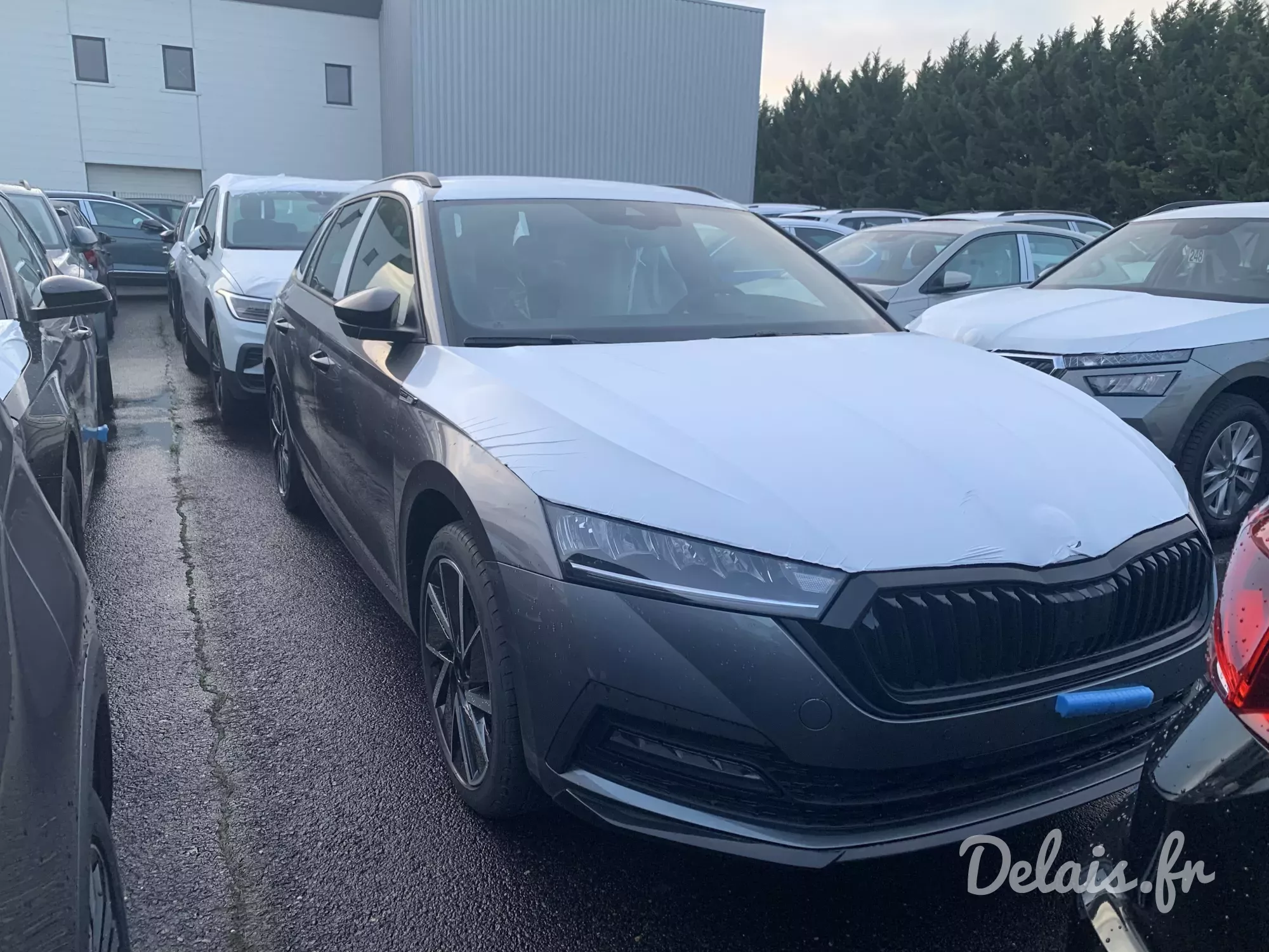 Škoda Octavia Gris Graphite Sportline
