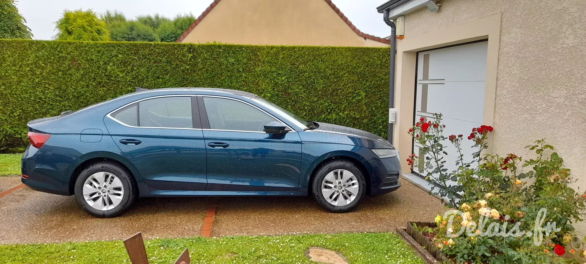 Škoda Octavia Bleu Lave Business