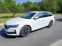 Škoda Octavia de Lucko 37