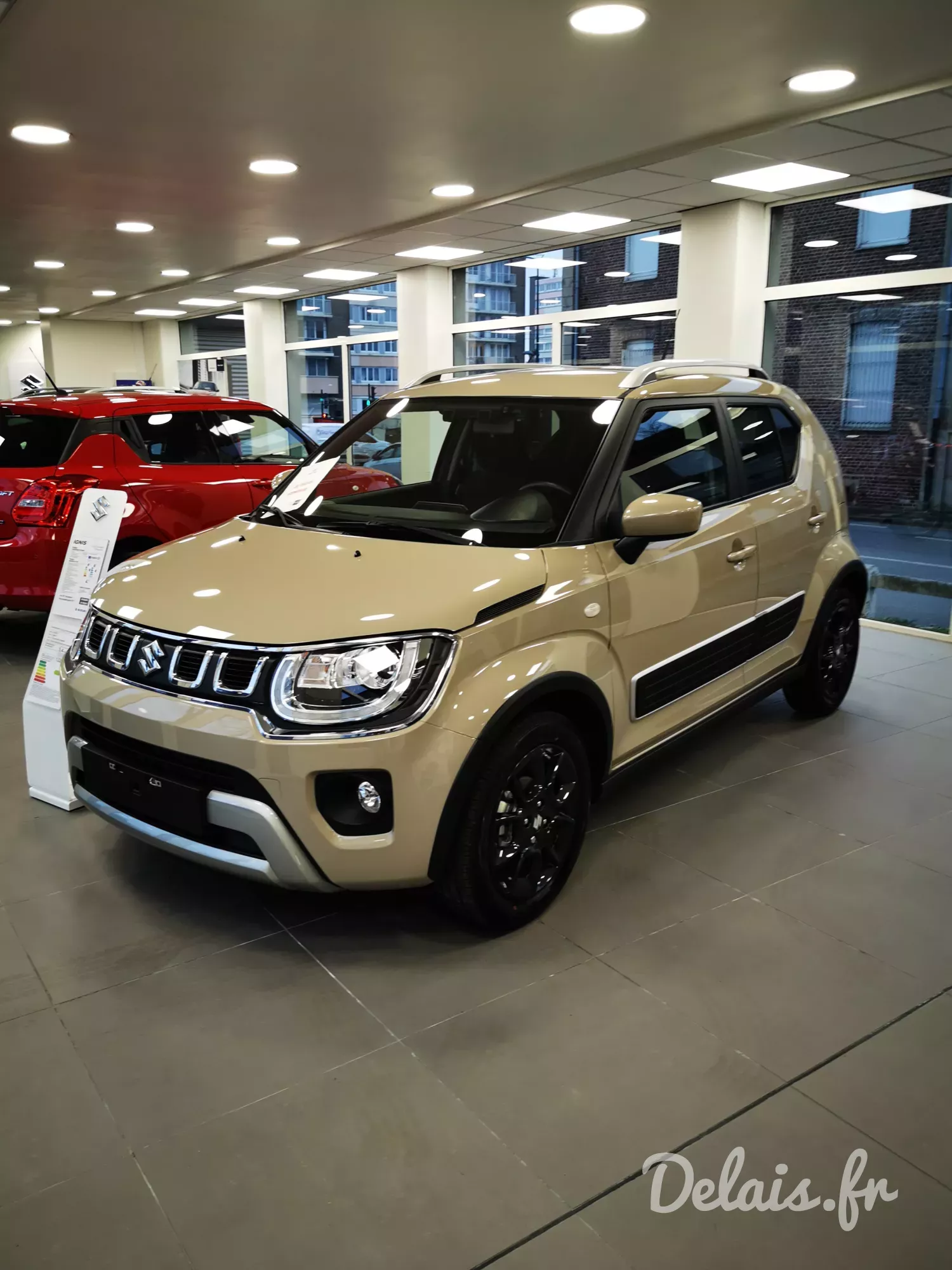 Suzuki Ignis Caravan Ivory Pearl Pack
