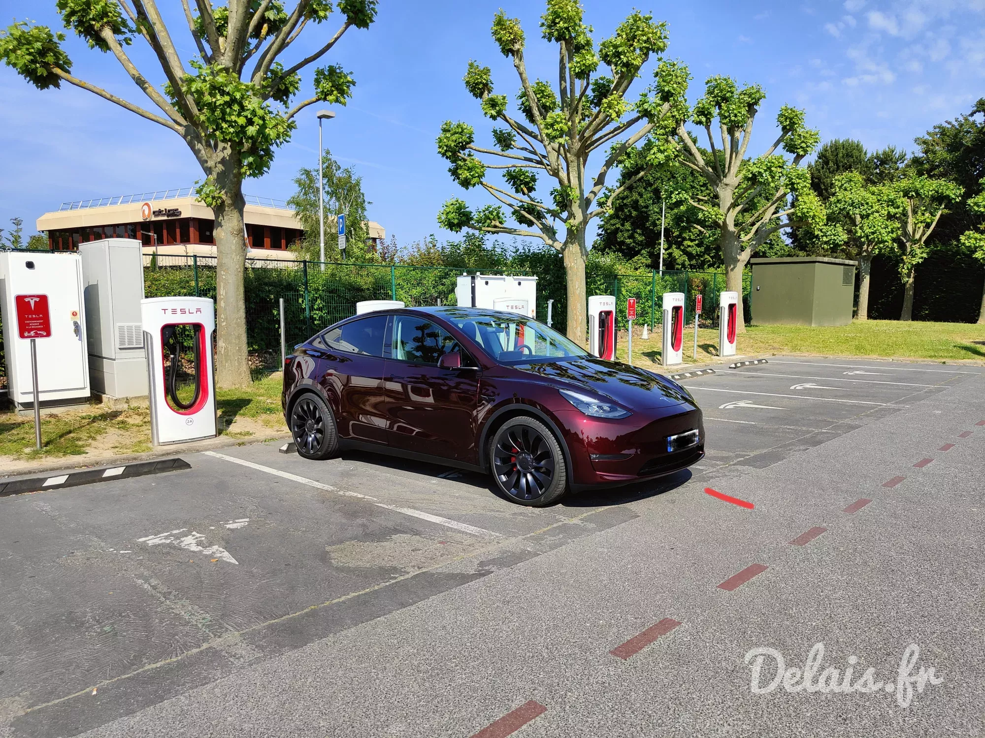 Tesla Model Y Midnight Cherry Red Performance
