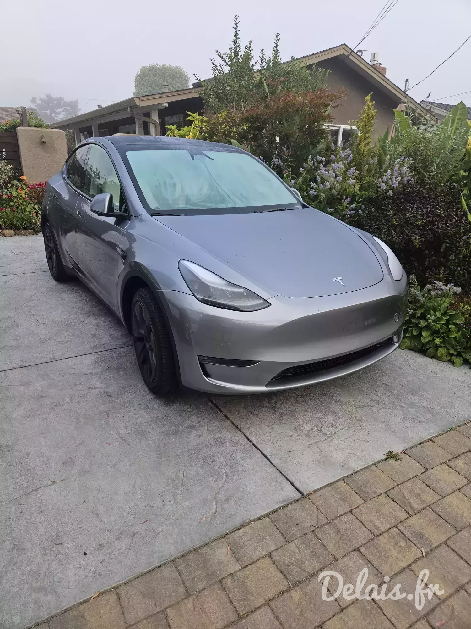 Tesla Model Y Quicksilver Standard