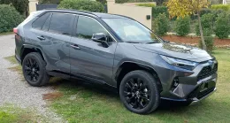 Toyota RAV4 Gris Atlas Collection de DavidsonDU13