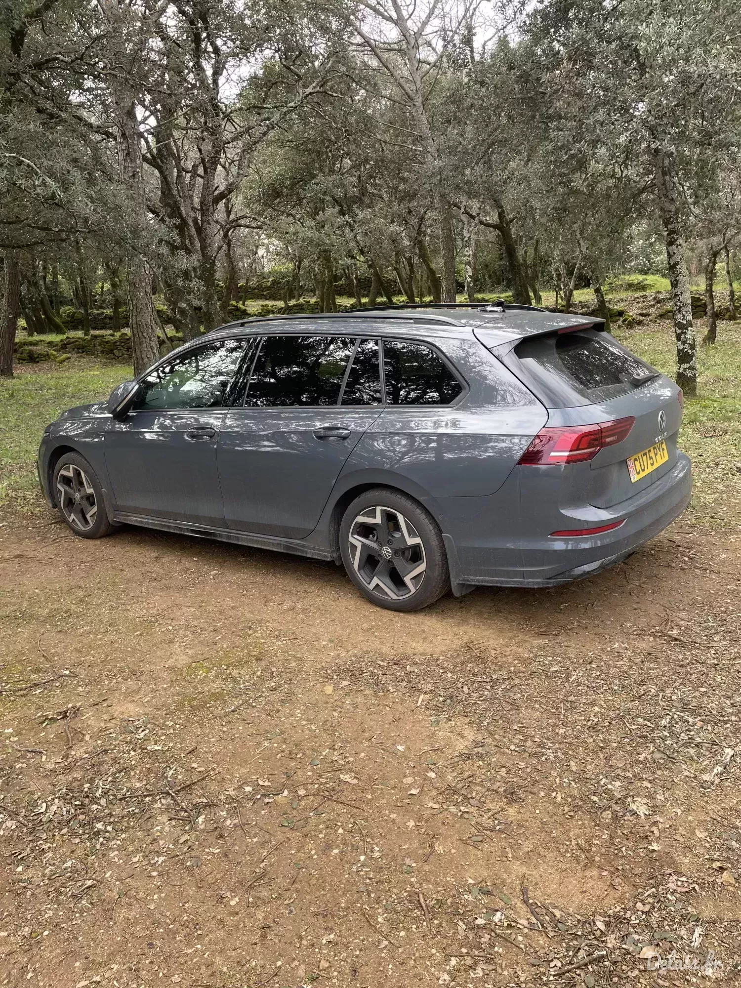 Volkswagen Golf Gris Dauphin R-Line