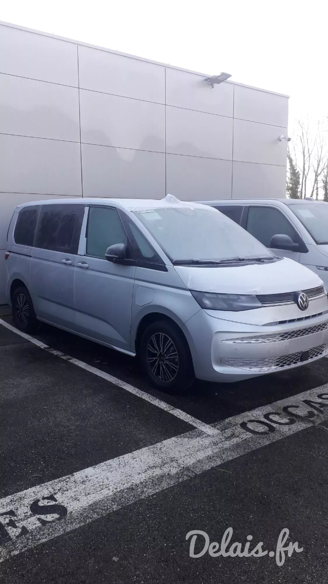 Volkswagen Multivan Gris Indium Life Court