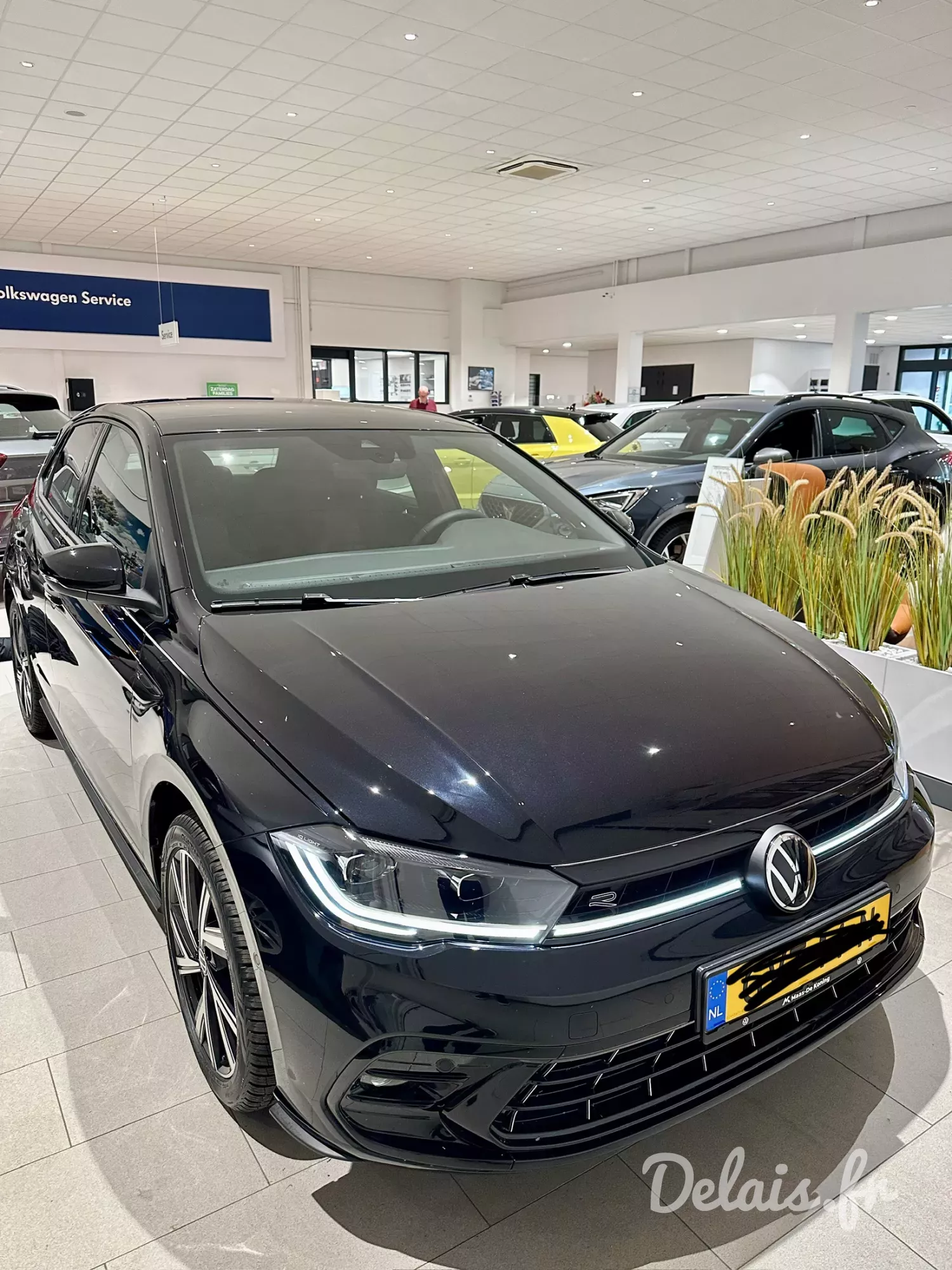 Volkswagen Polo Noir Intense Polo R-Line