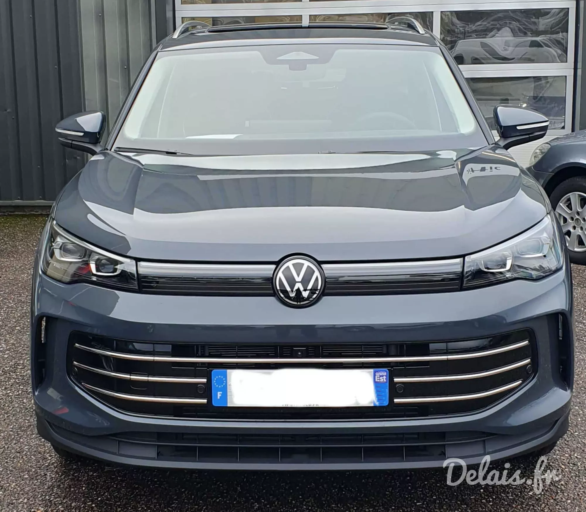 Volkswagen Tiguan Gris Dauphin Elegance