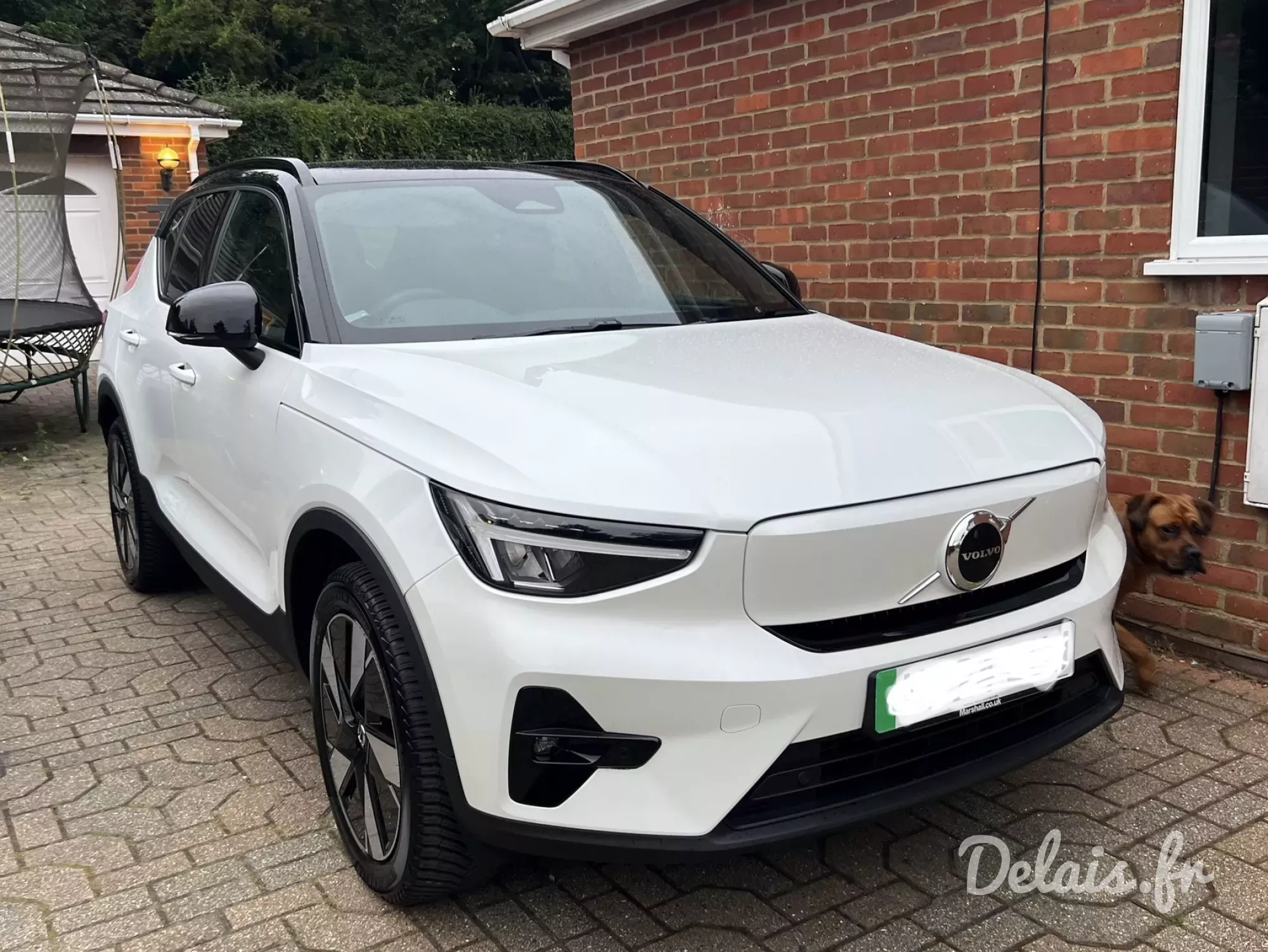 Volvo XC40 Recharge Vapour Grey / Gris Brume Plus